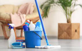 Elite Pro Maid professional cleaning team